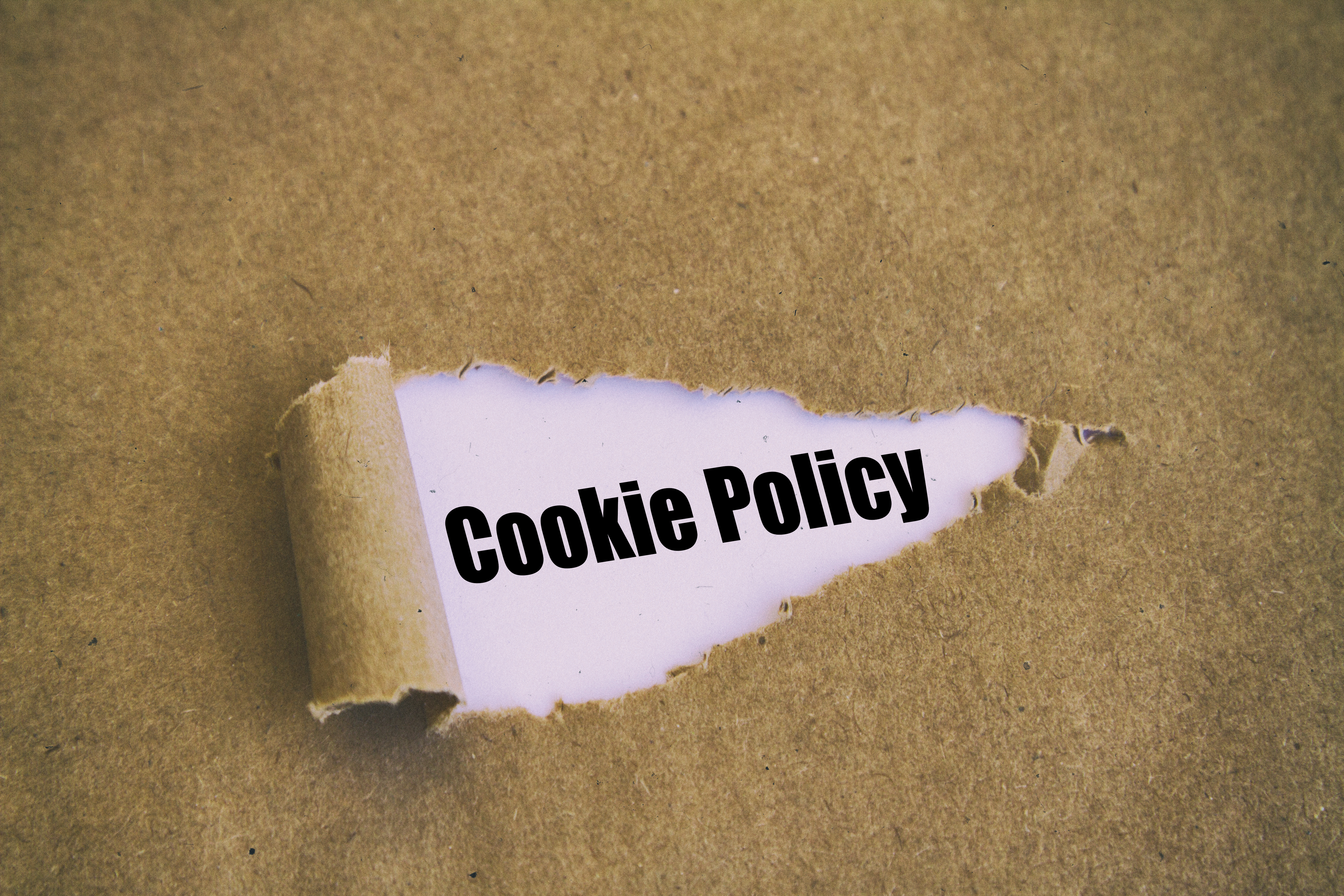 Cookie Policy